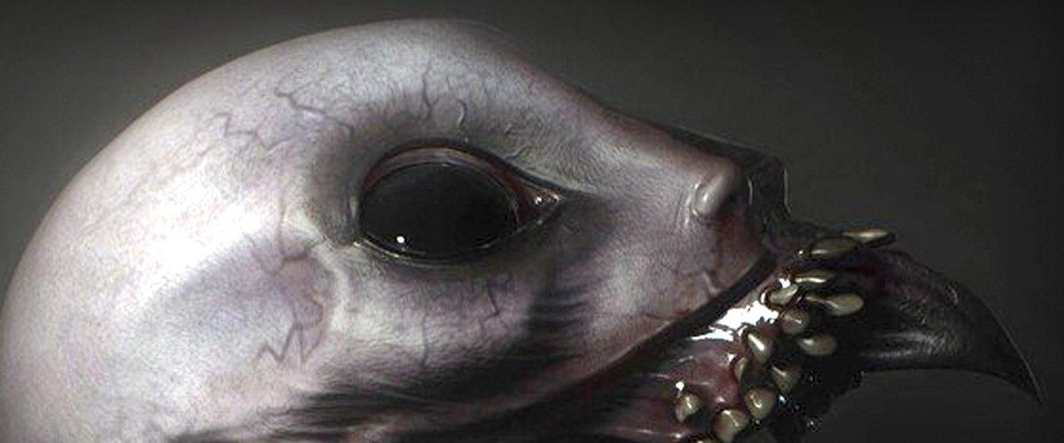 NOCHE DE TERROR EN EL ZOO: 31 de octubre