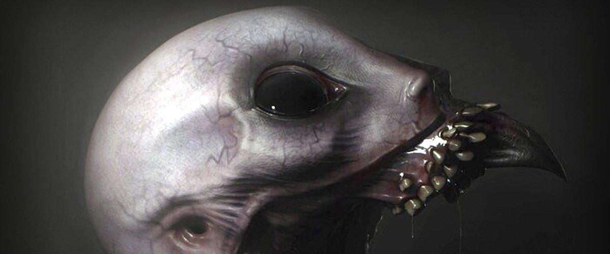 NOCHE DE TERROR EN EL ZOO: 2 de noviembre
